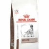 Royal Canin Hepatic Dog 6kg -pet sale shop 3182550771733 35700.1690604741