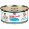 Royal Canin Puppy Starter Mousse Wet 12 X 195g 2 Royal Canin Puppy Starter Mousse Wet 12 X 195g -pet sale shop 9003579002698 80719.1690604740