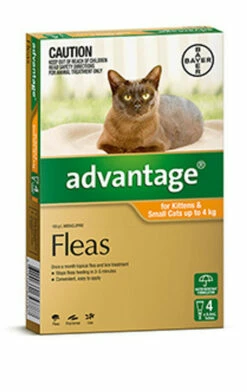 Bayer Advantage Cat Up To 4kg Orange 4's