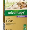 Bayer Advantage Cat Over 4kg Purple 4's -pet sale shop 9310160657794 38953.1668538347
