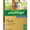 Bayer Advantage Dog Over 25kg Extra Large Blue 4's -pet sale shop 9310160658548 52472.1668538365