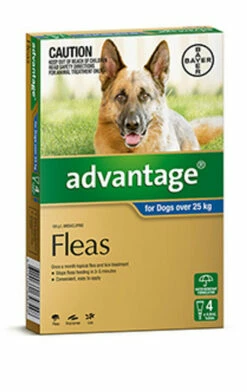 Bayer Advantage Dog Over 25kg Extra Large Blue 4's