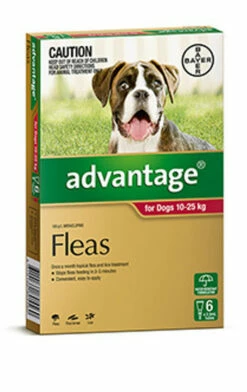 Bayer Advantage Dog 10-25kg Large Red 6's