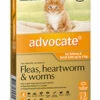 Bayer Advocate Up To 4kg For Kittens And Cats Orange 3's -pet sale shop 9310160805805 63952.1668538455