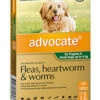 Bayer Advocate Up To 4kg Dog Green 3's -pet sale shop 9310160805843 98268.1668538453
