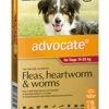 Bayer Advocate 10-25kg Large Red 6's -pet sale shop 9310160809612 26946.1668538424