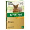 Bayer Advantage Up To 4kg Cat Orange (1 Pack) -pet sale shop 9310160821720 85047.1668538382