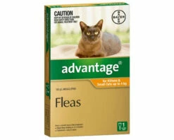 Bayer Advantage Up To 4kg Cat Orange (1 Pack)