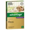 Bayer Advantage Over 4kg Cat Purple (1 Pack) -pet sale shop 9310160821737 78417.1668538379