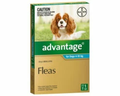 Bayer Advantage 4-10kg Medium Aqua (1 Pack)