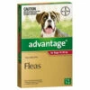 Bayer Advantage 10-25kg Large Red (1 Pack) -pet sale shop 9310160821768 20263.1668538343