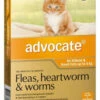Bayer Advocate Up To 4kg Kittens And Cats Orange (1 Pack) -pet sale shop 9310160821829 58917.1668538461