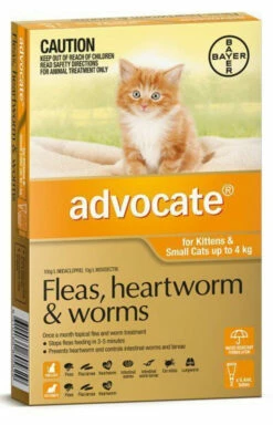 Bayer Advocate Up To 4kg Kittens And Cats Orange (1 Pack)