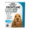 Frontline Plus Medium Blue (10kg - 20kg) 1.34ml 6's -pet sale shop 9327073001705 66682.1668586886