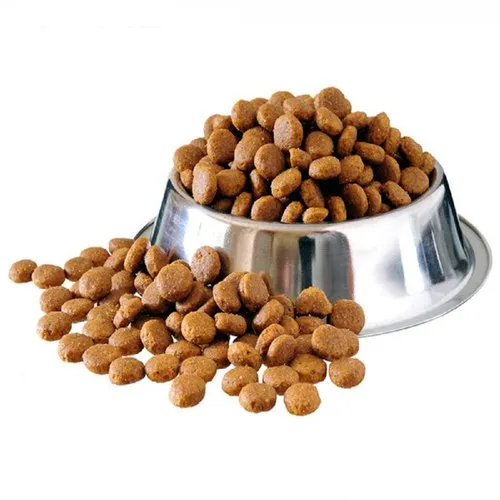pet sale shop -pet sale shop pedigree dog foods 500x500 1